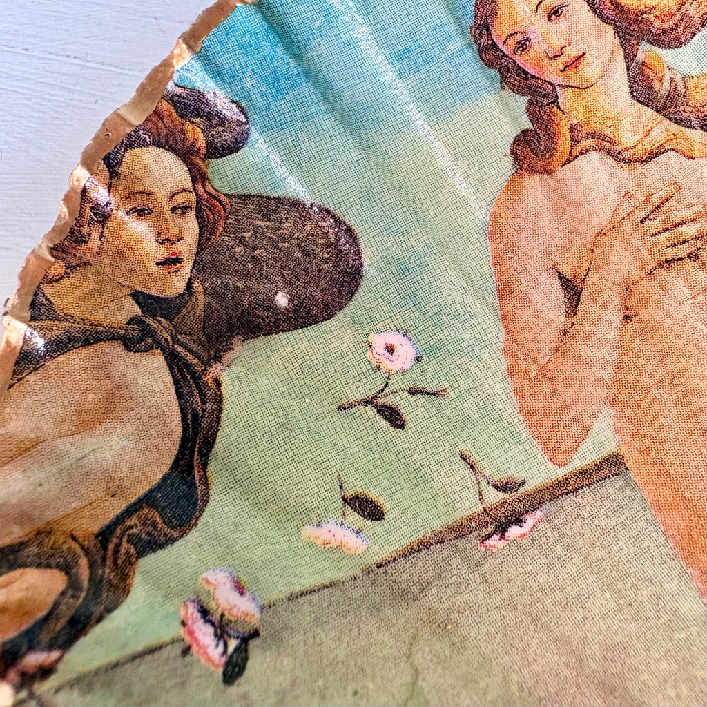 Periwinkle Shells Venus Trinket Dish
