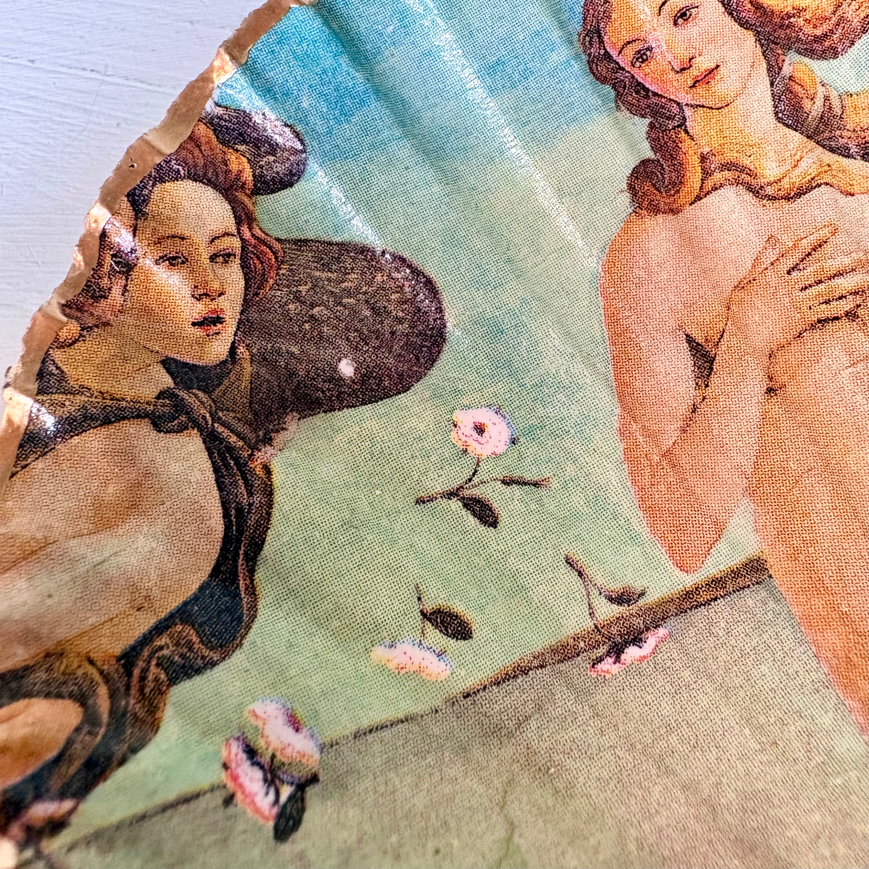 Periwinkle Shells Venus Trinket Dish