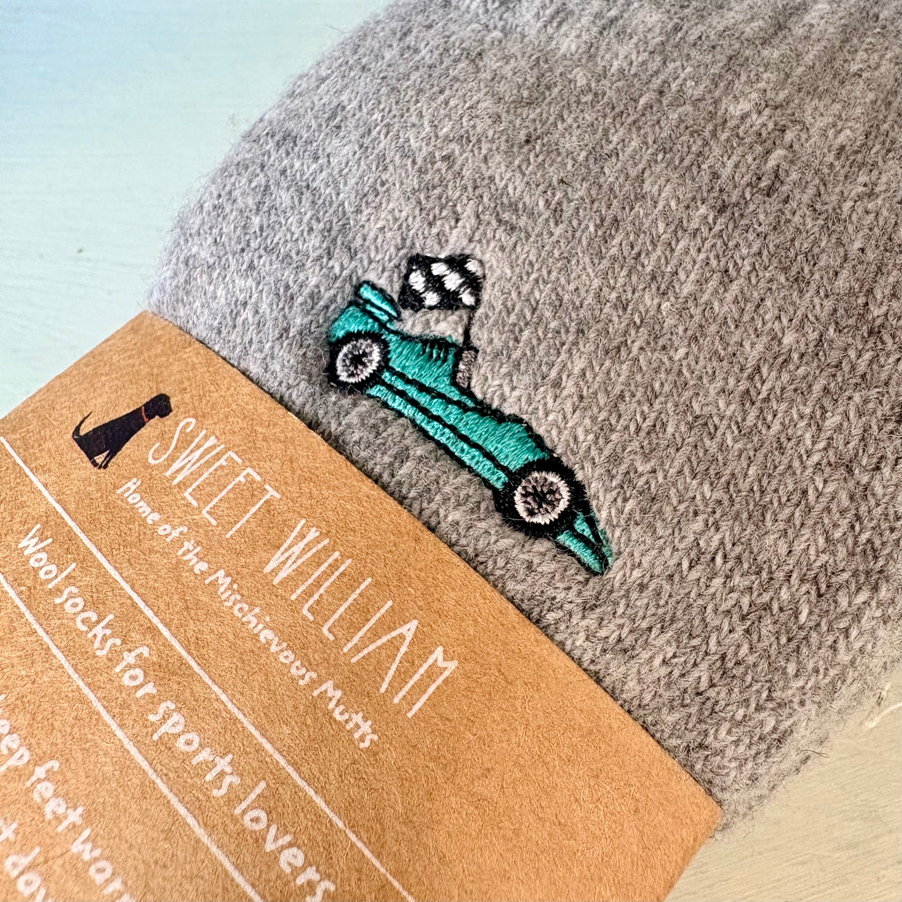 Sweet William Turquoise Motorsport Racing Car Socks