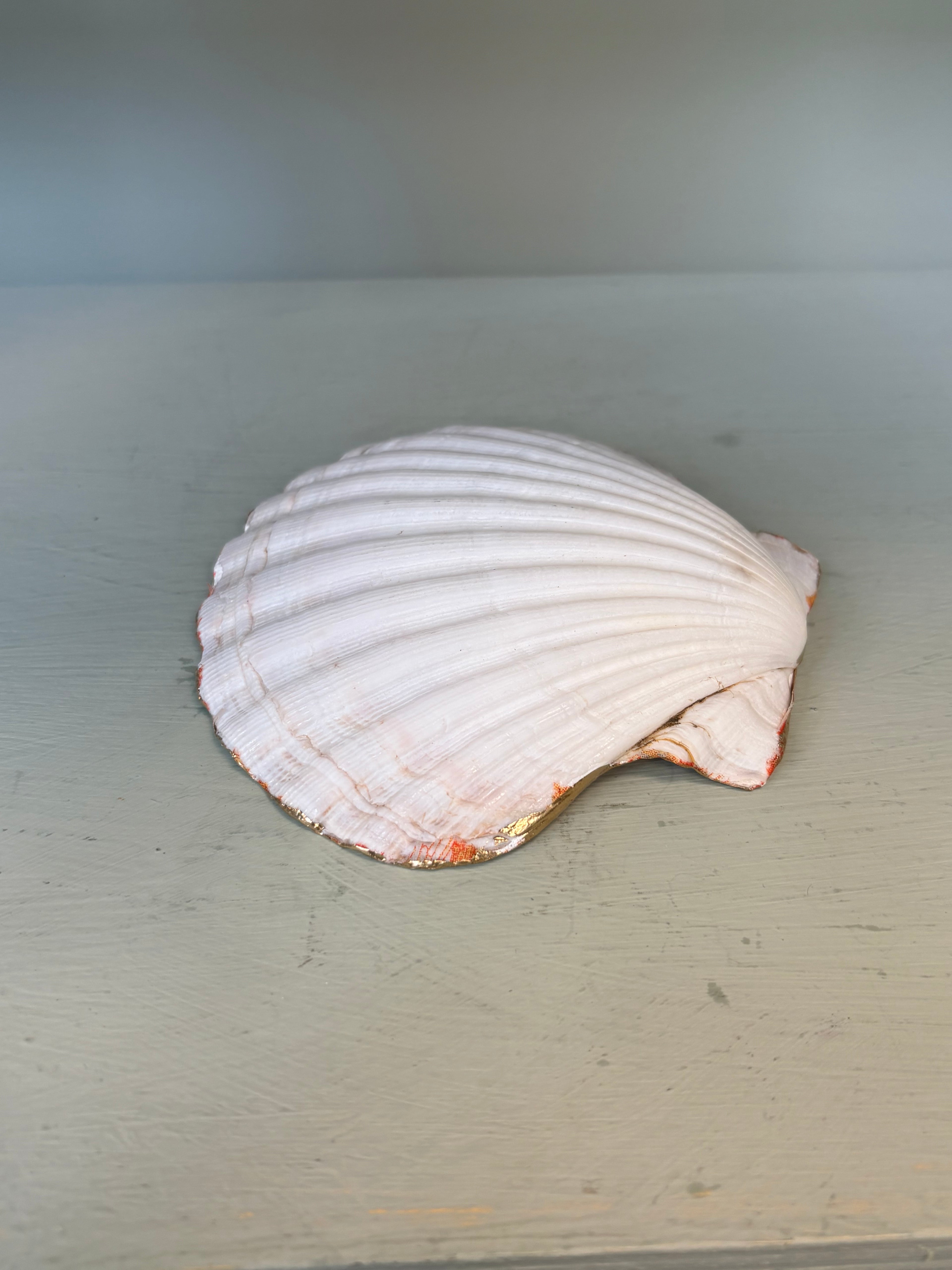 Periwinkle Shells Red Crane Trinket Dish